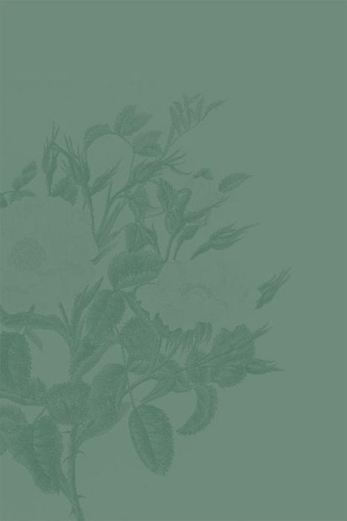Produktbild: Die Damen mit dem grünen Daumen