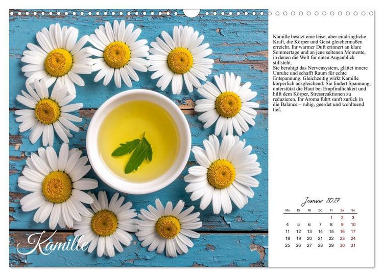 Produktbild: Heilsame Aroma&ouml;le (Wandkalender 2027 DIN A3 quer), CALVENDO Monatskalender