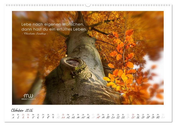 Produktbild: Gedanken... Bildkalender mit Spr&uuml;chen (Wandkalender 2026 DIN A2 quer), CALVENDO Monatskalender