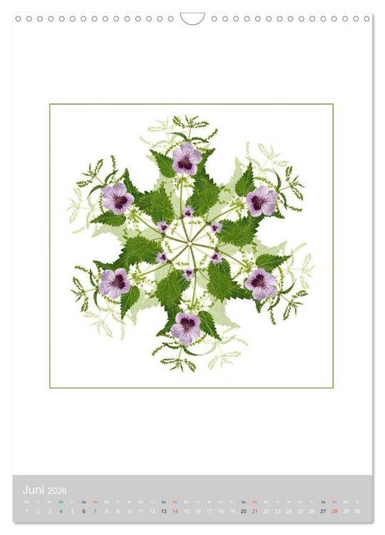 Produktbild: Pflanzen - Mandalas aus Bl&uuml;ten und Bl&auml;ttern (Wandkalender 2026 DIN A3 hoch), CALVENDO Monatskalender