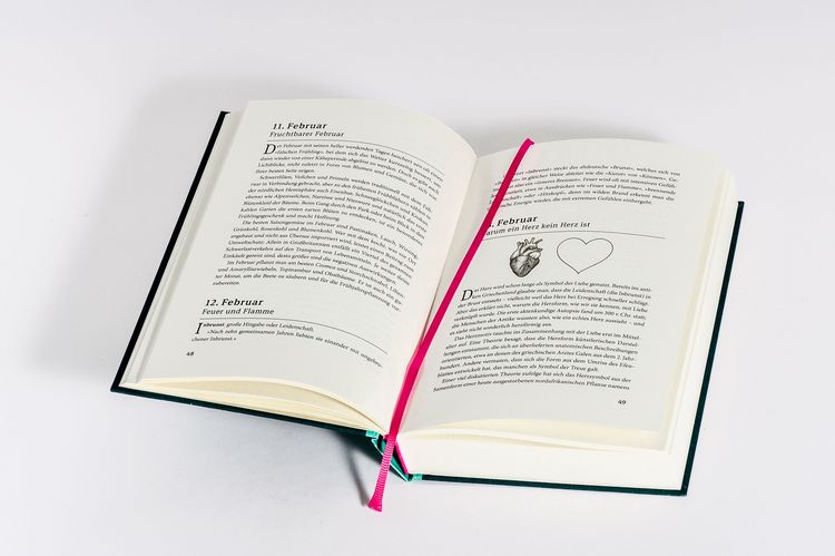 Produktbild: Ein Jahr des Staunens