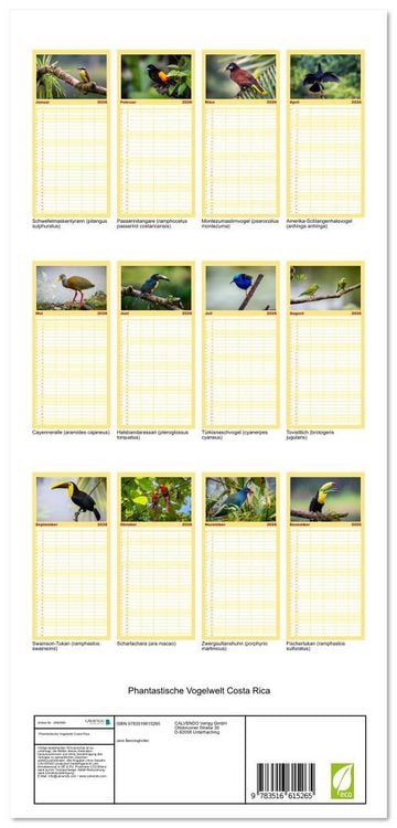 Produktbild: Familienplaner 2026 - Phantastische Vogelwelt Costa Rica mit 5 Spalten (Wandkalender, 21 x 45 cm) CALVENDO