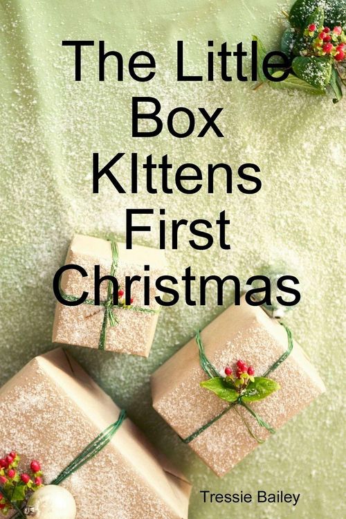 Produktbild: The Little Box Kittens First Christmas