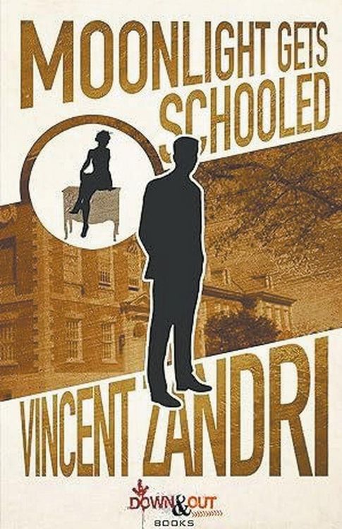 Produktbild: Moonlight Gets Schooled