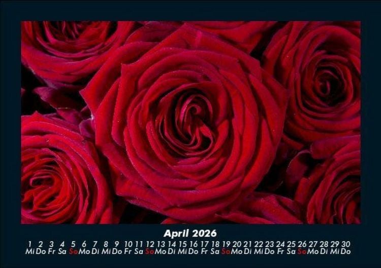 Produktbild: Rosentraum 2026 Fotokalender DIN A5