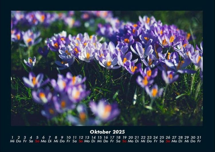 Produktbild: Blumenzauber 2025 Fotokalender DIN A4