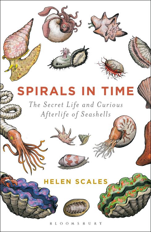 Produktbild: Spirals in Time