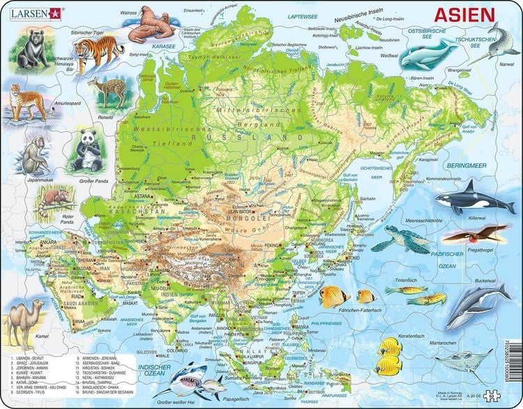 Produktbild: Puzzle - Asien (physisch)