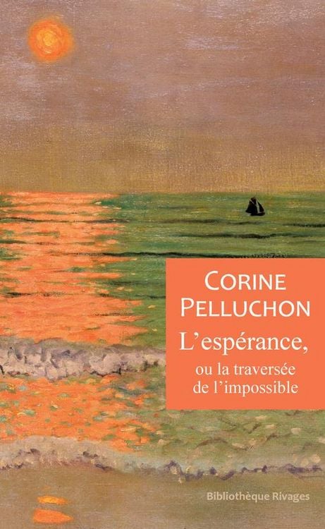 Produktbild: L'esp&eacute;rance, ou la travers&eacute;e de l'impossible