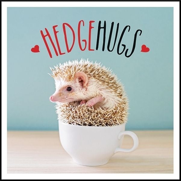 Produktbild: Ellis, C: Hedgehugs