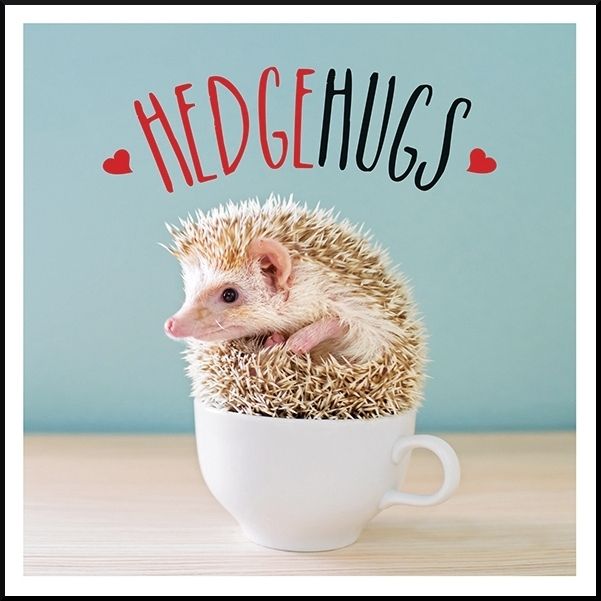 Produktbild: Ellis, C: Hedgehugs