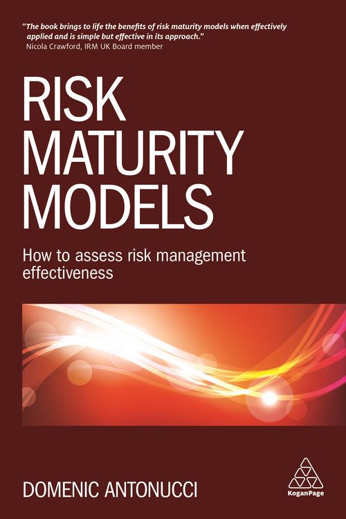 Produktbild: Risk Maturity Models