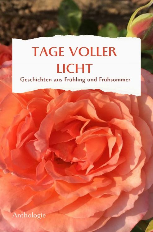 Produktbild: Tage Voller Licht
