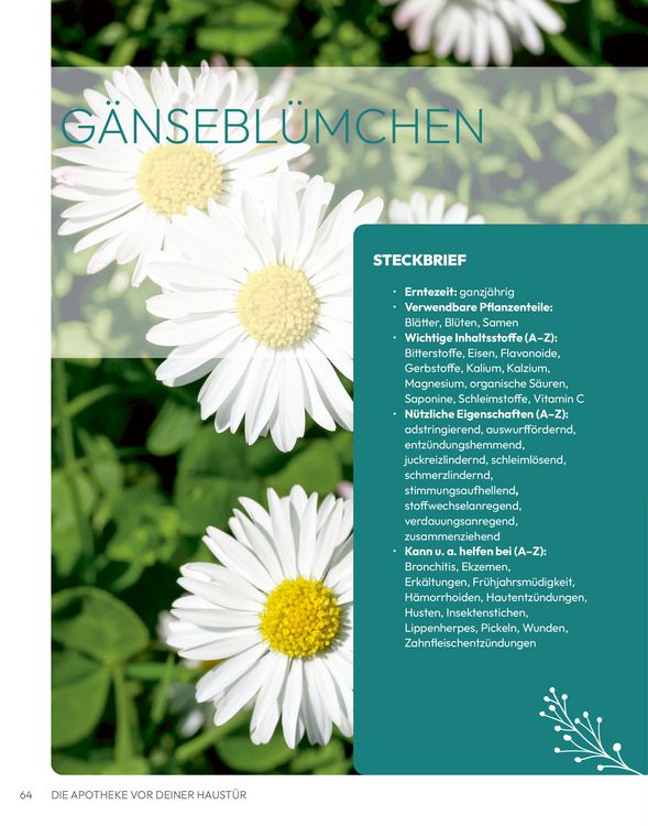 Produktbild: Die Apotheke vor deiner Haust&uuml;r