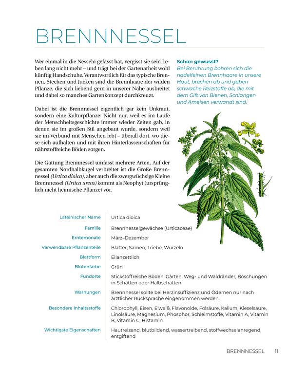 Produktbild: Geliebtes Unkraut