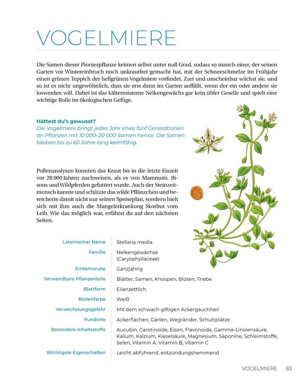 Produktbild: Geliebtes Unkraut