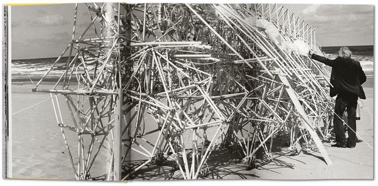Produktbild: Strandbeest