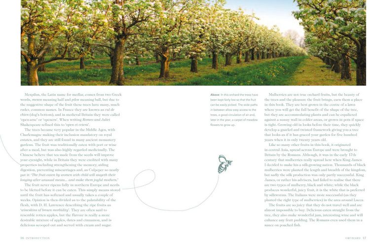 Produktbild: Orchard