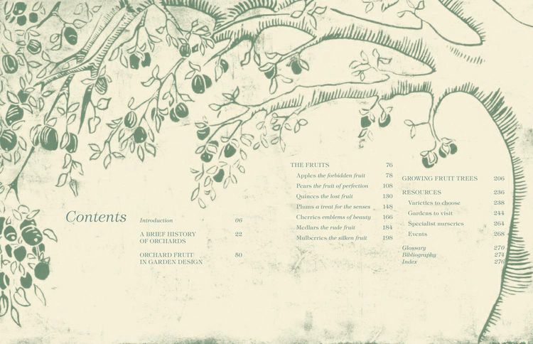 Produktbild: Orchard