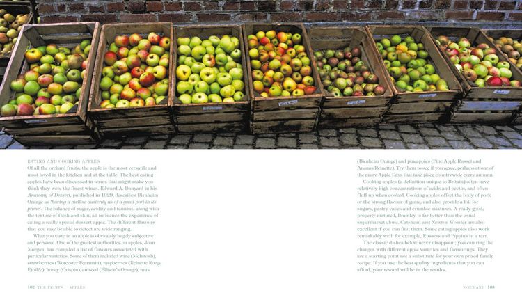 Produktbild: Orchard
