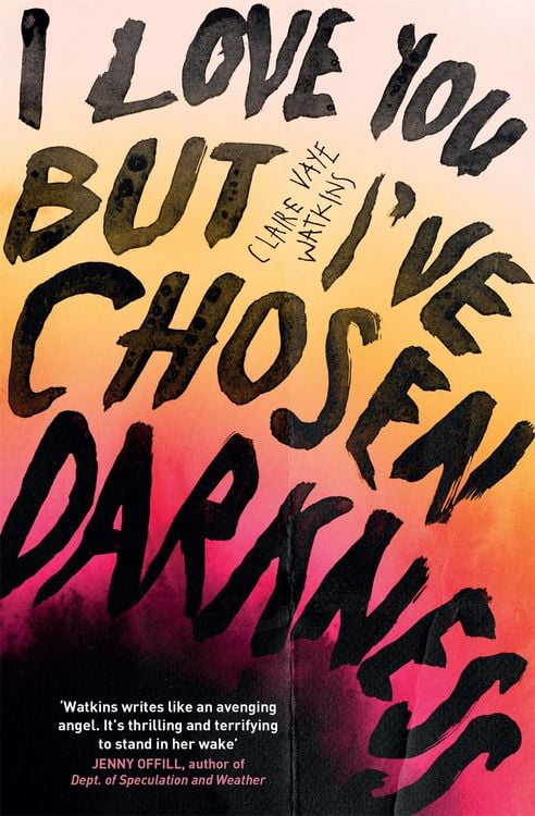 Bild vom Artikel I Love You But I've Chosen Darkness vom Autor Claire Vaye Watkins