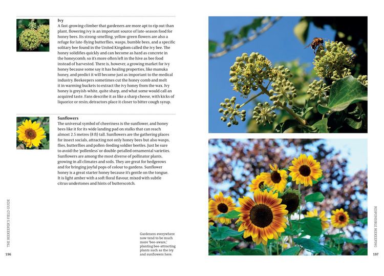 Produktbild: BEEKEEPERS FIELD GUIDE PB