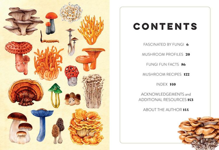 Produktbild: Xmushroom Miscellany Hb