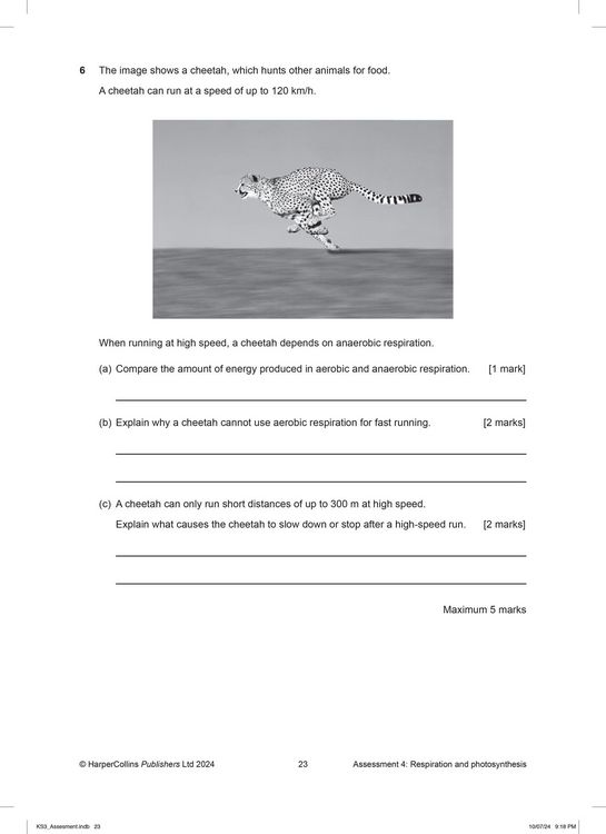Produktbild: Ks3 Science Now Assessment Pack