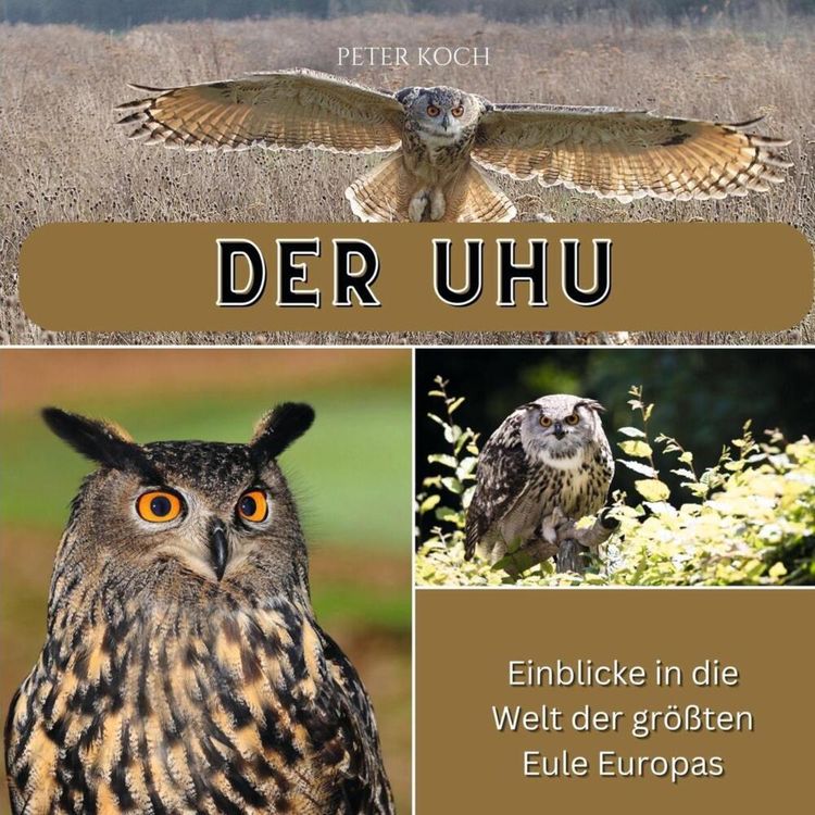 Produktbild: Der Uhu