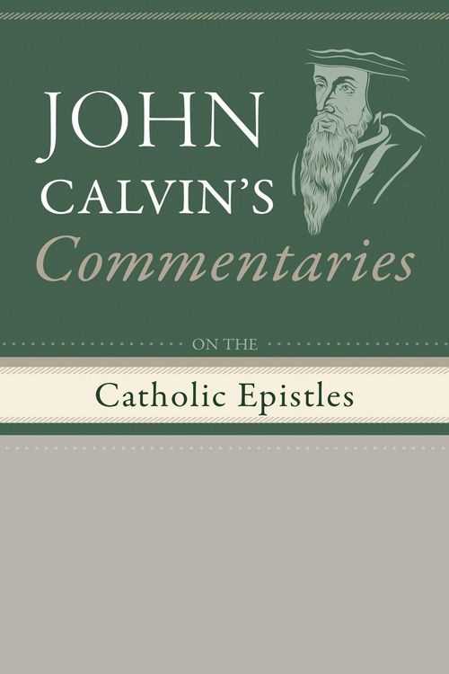 Produktbild: Commentaries on the Catholic Epistles