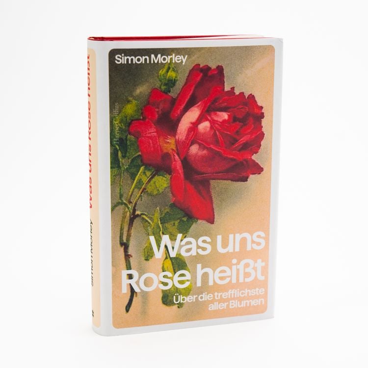 Produktbild: Was uns Rose hei&szlig;t. &Uuml;ber die trefflichste aller Blumen