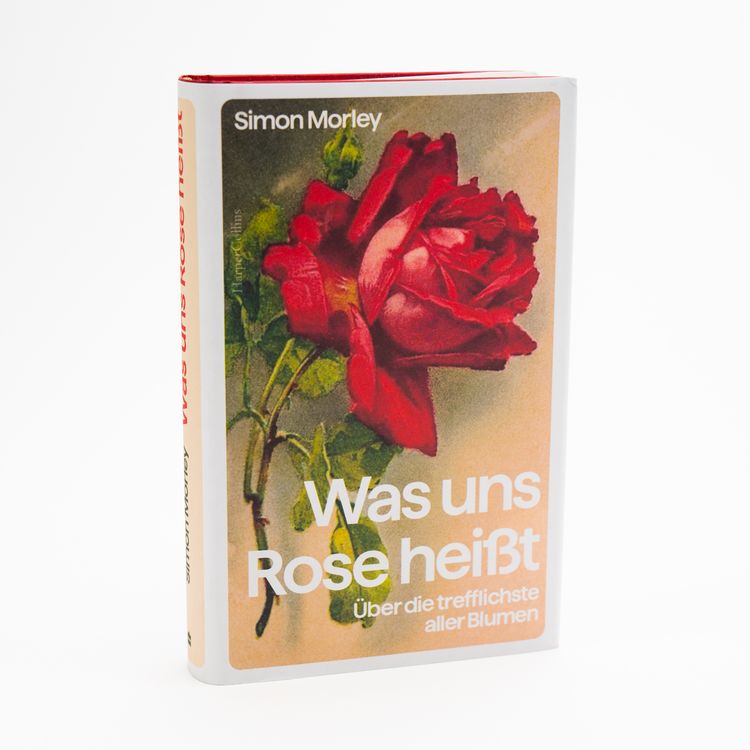 Produktbild: Was uns Rose hei&szlig;t. &Uuml;ber die trefflichste aller Blumen