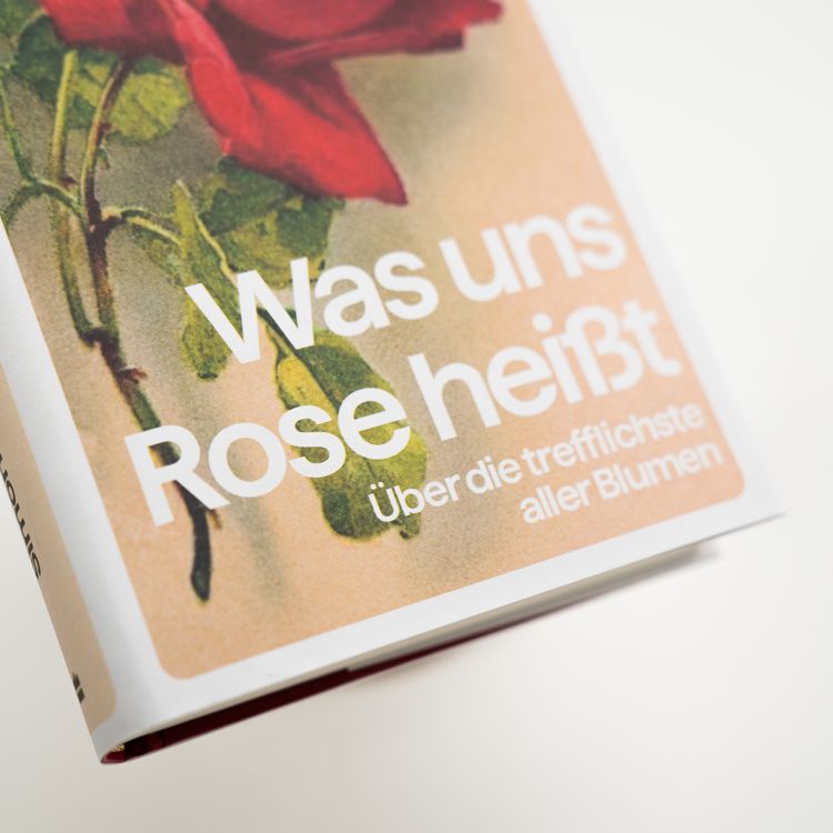 Produktbild: Was uns Rose hei&szlig;t. &Uuml;ber die trefflichste aller Blumen