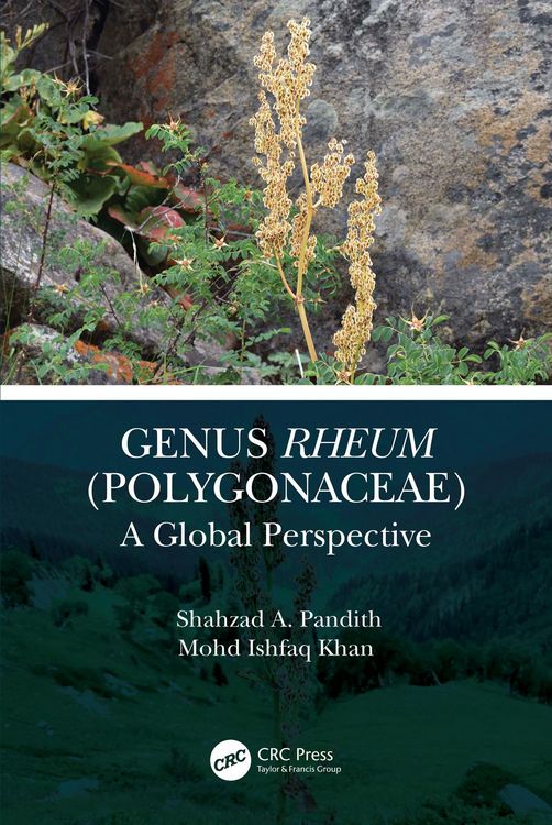 Produktbild: Genus Rheum (Polygonaceae)