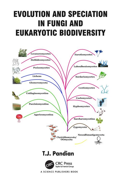 Produktbild: Evolution and Speciation in Fungi and Eukaryotic Biodiversity