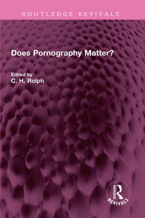 Produktbild: Does Pornography Matter?