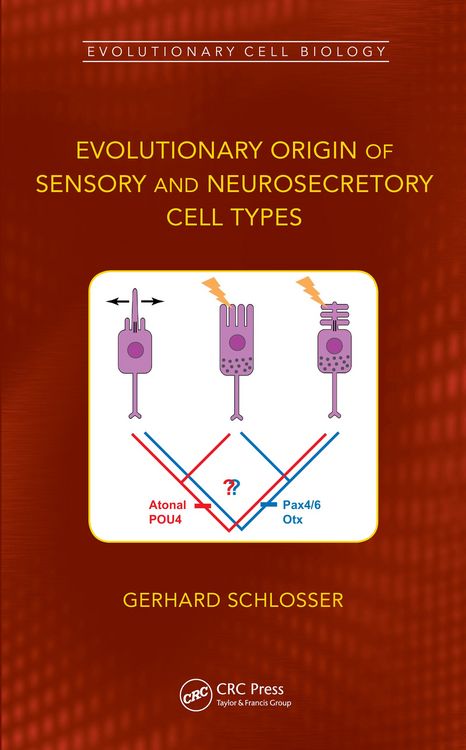 Produktbild: Evolutionary Origin of Sensory and Neurosecretory Cell Types
