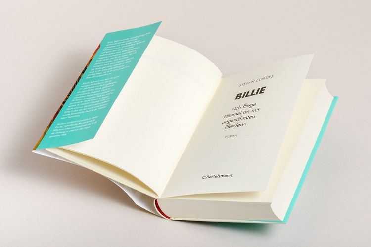 Produktbild: BILLIE &raquo;Ich fliege Himmel an mit ungez&auml;hmten Pferden&laquo;
