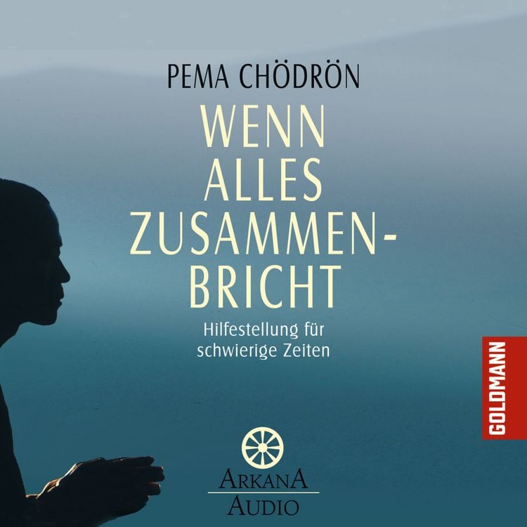 Produktbild: Wenn alles zusammenbricht