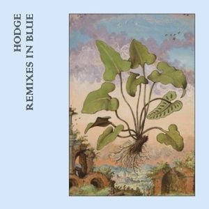 Produktbild: Remixes In Blue