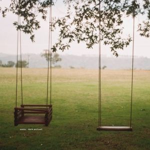 Produktbild: Dark Portrait (LP)