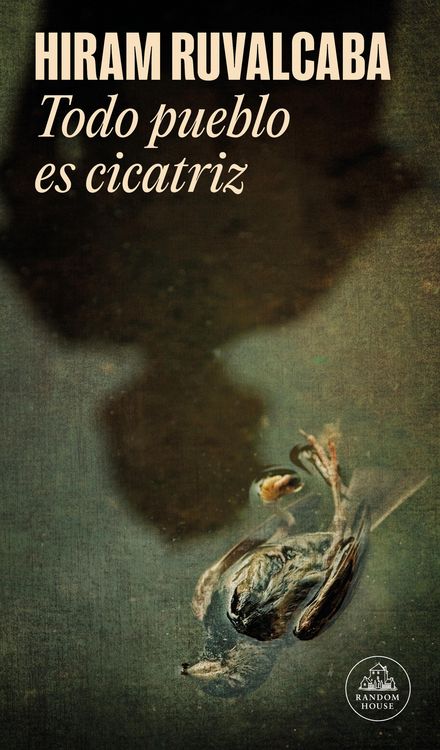 Produktbild: Todo Pueblo Es Cicatriz / Every Town Is a Scar