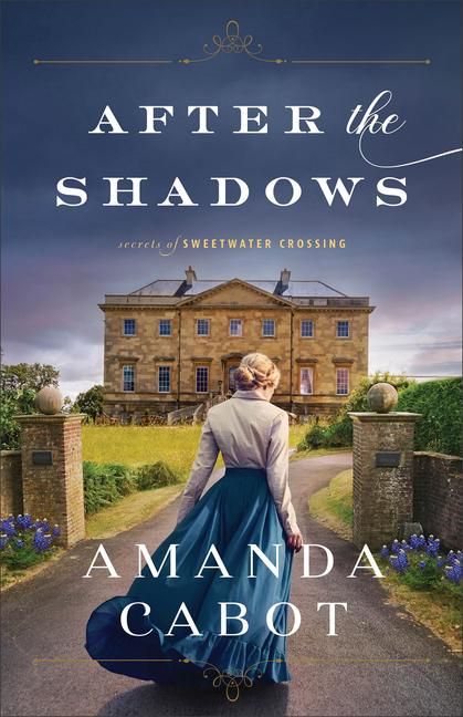 Produktbild: After the Shadows