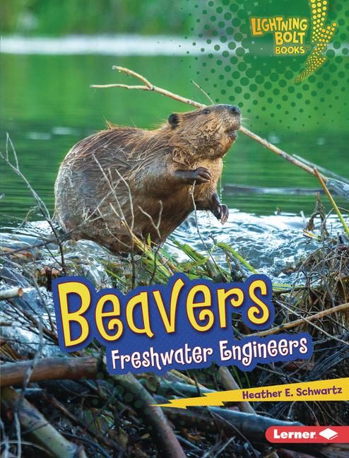 Produktbild: Beavers