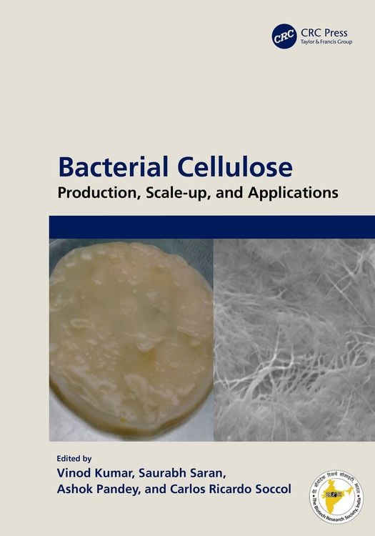 Produktbild: Bacterial Cellulose
