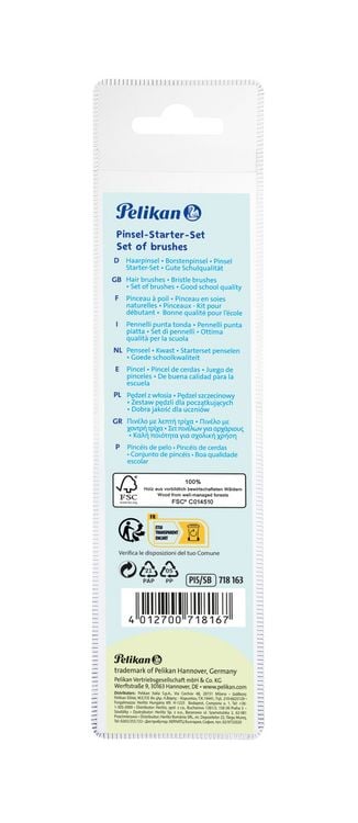 Produktbild: Pelikan Pinsel Starter-Set, 3 Haar- und 2 Borstenpinseln