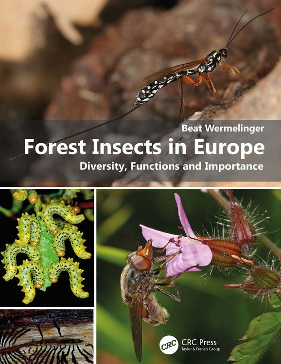 Produktbild: Forest Insects in Europe