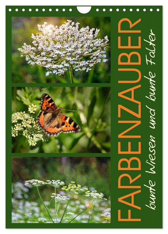 Produktbild: Farbenzauber, bunte Wiesen und bunte Falter (Wandkalender 2026 DIN A4 hoch), CALVENDO Monatskalender