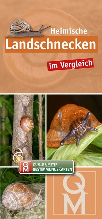 Produktbild: Heimische Landschnecken im Vergleich