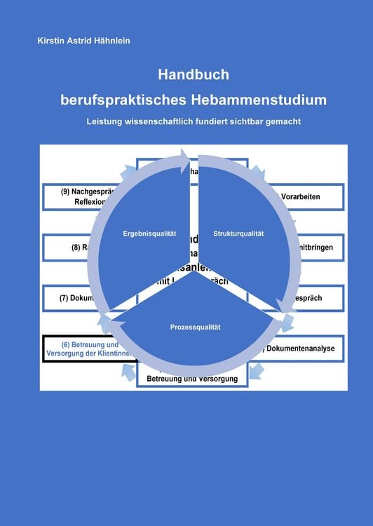 Produktbild: Handbuch berufspraktisches Hebammenstudium